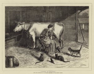bekleyen bayanlar